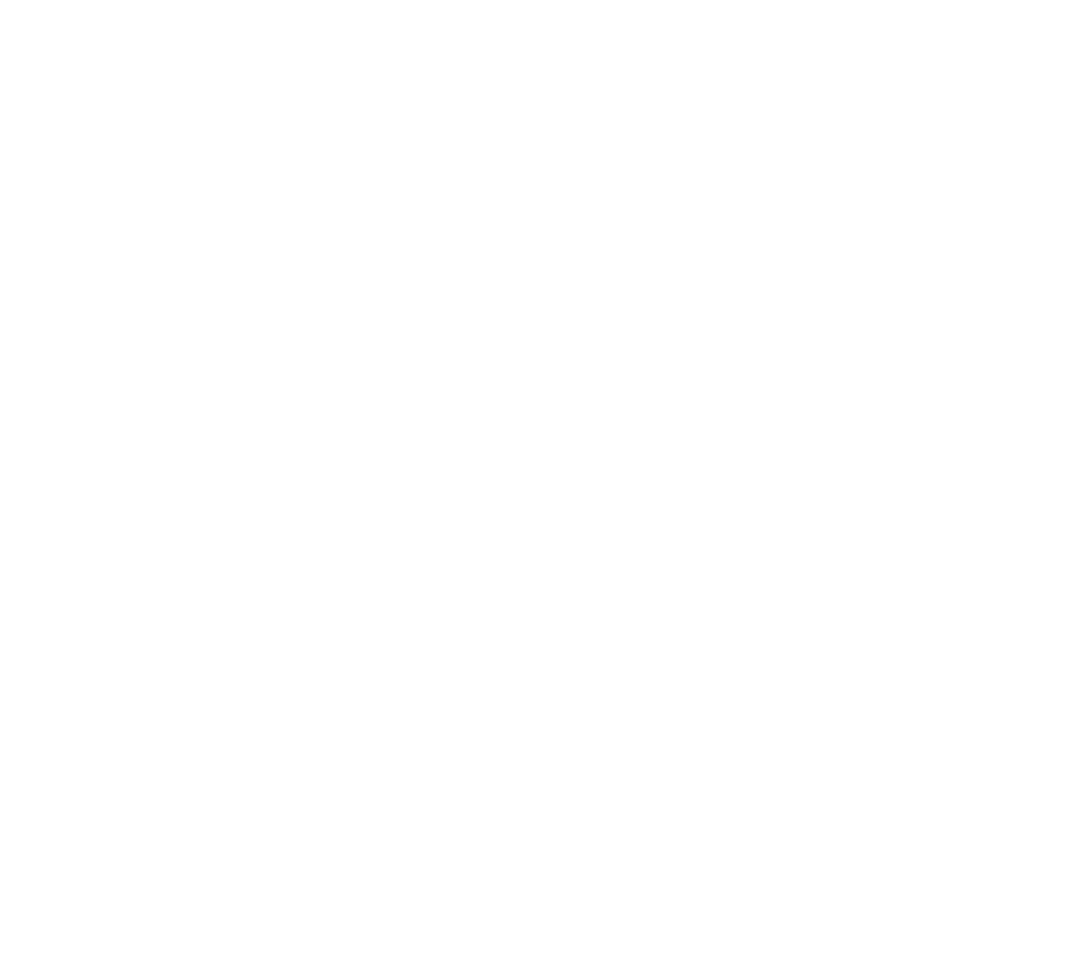 Aversente Holding Company - Logo Opel
